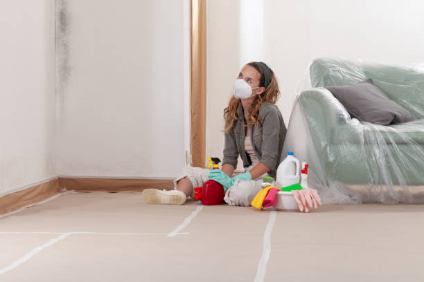 Reliable Mold Testing contractor in Smithsburg, MD by WQB Mold Removal